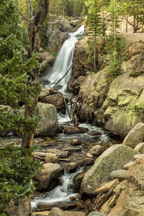 Alberta Falls In Rocky Mountain National Park Stock Photo Image Of