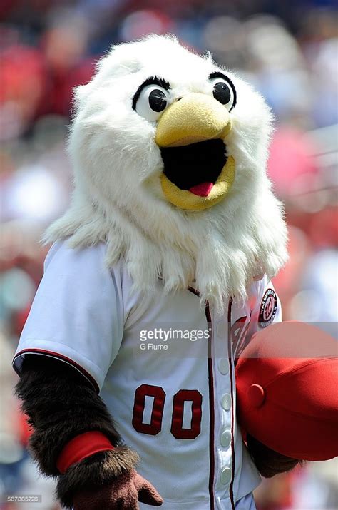 Screechaug 72016 Washington Nationals Mascot Major League