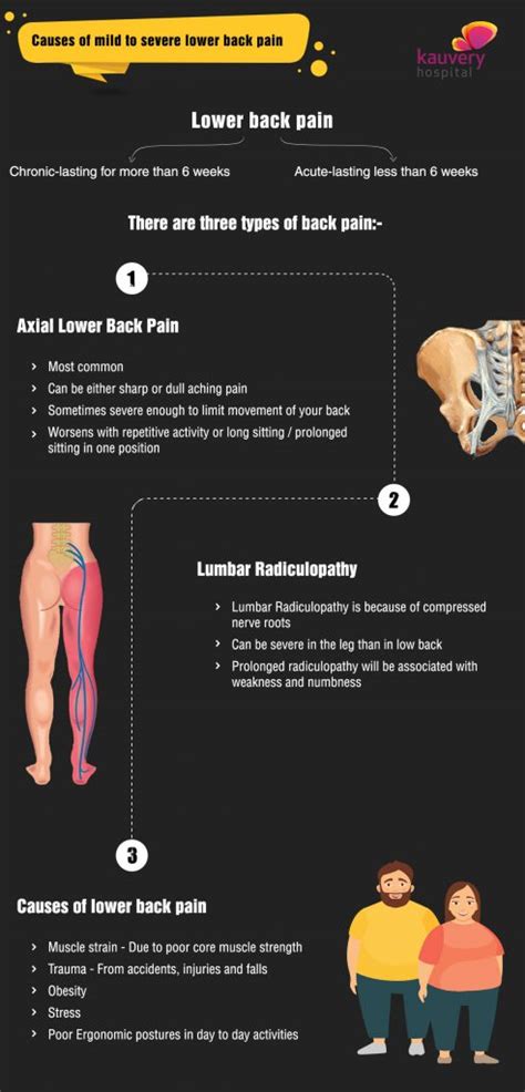 Causes Of Mild To Severe Lower Back Pain Kauvery Hospital