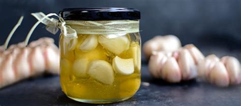 homemade fermented honey garlic fermented honey honey garlic tinctures recipes
