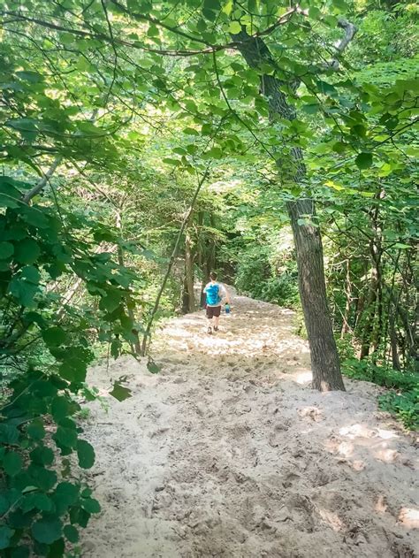 The 3 Dune Challenge Trail Guide Indiana Dunes State Park Alexys Abroad