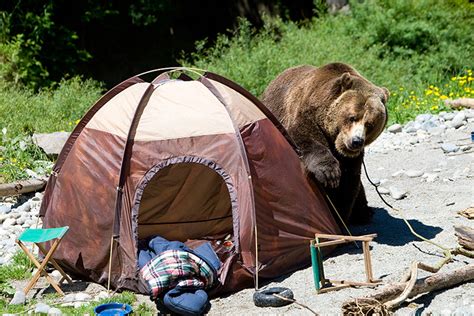 Watch 6 Hilariously Awesome Camping Fails