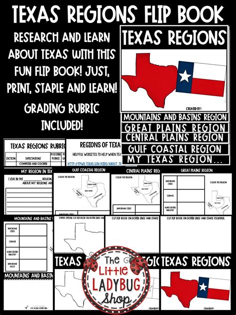 Regions Of Texas Flipbook And Texas Regions Activity The Little Ladybug