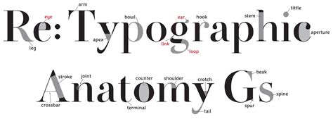 Type Anatomy A Visual Guide To The Parts Of Letters V