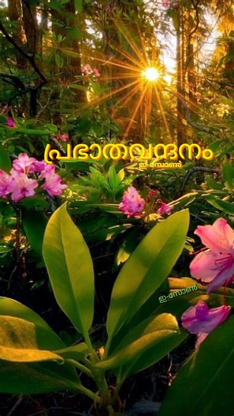 Mostly clear, with a low around 70. Pin by Eron on Good morning ( Malayalam ) | Good night ...