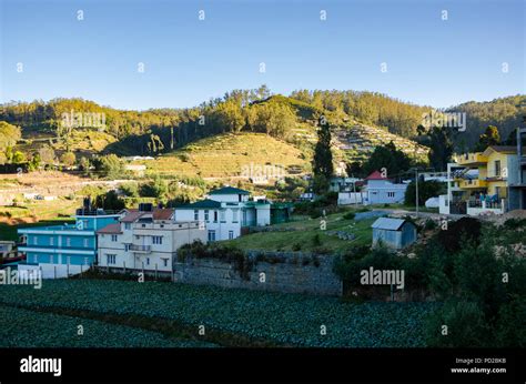 Mountains Overlooking Houses In The City Of Ooty In Tamil Nadu India