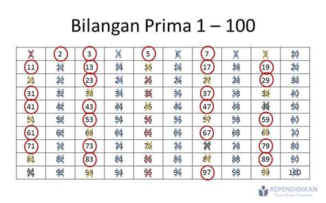 Pengertian Bilangan Prima Dan Cara Menentukannya Haloedukasi Com My