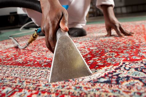 Salary for industry in south africa: Carpet Cleaning & Cleaning Services | Chelsea Cleaning