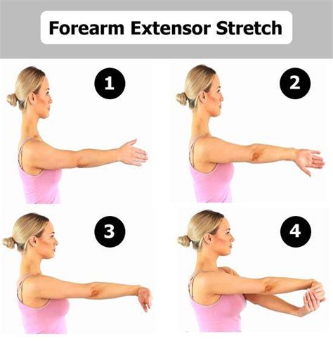 Extensor Exercises Off 74