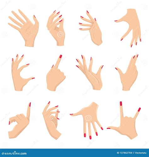 Female Hands Gestures Stock Vector Illustration Of Infographic 137862704
