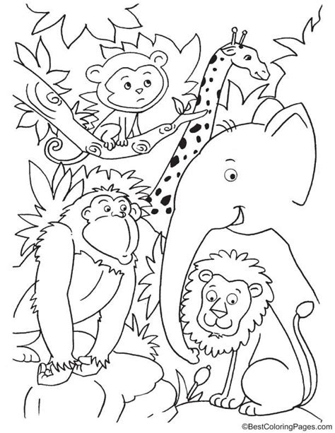 Cute Animals In Jungle Coloring Page Jungle Coloring Pages Animal