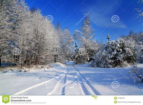 Snow Covered Road In The Forest Stock Image Image 17008179