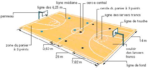 Terrain De Basket Dimensions Officielles