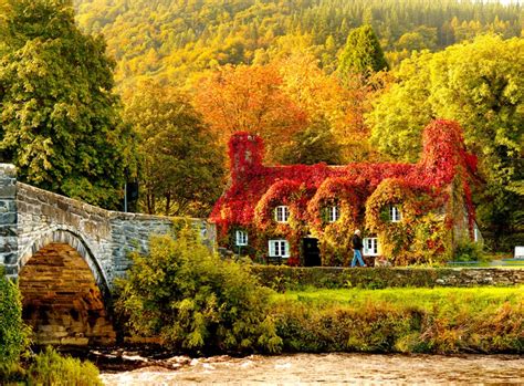 Wales fans go crazy for ramsey opener vs. Walking Holiday | Wales | Quality Cottages