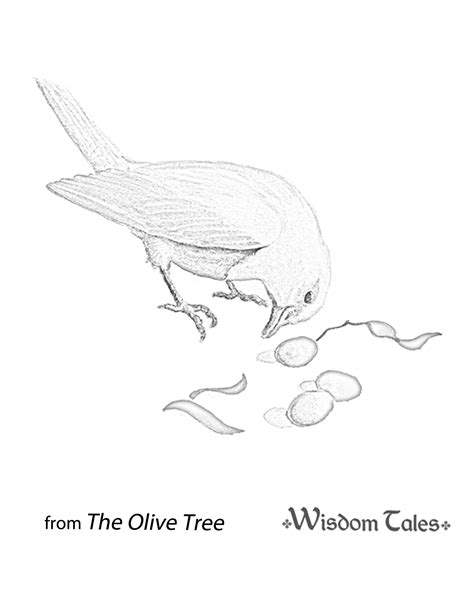 Browse the user profile and get inspired. Children's Book Review: The Olive Tree By Elsa Marston ...