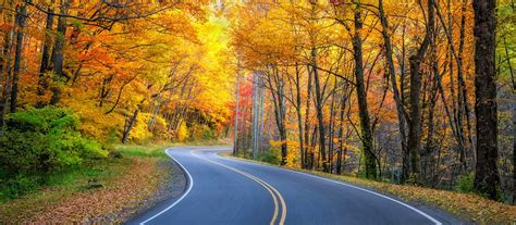 This Fall Foliage Prediction Map Will Tell You When To