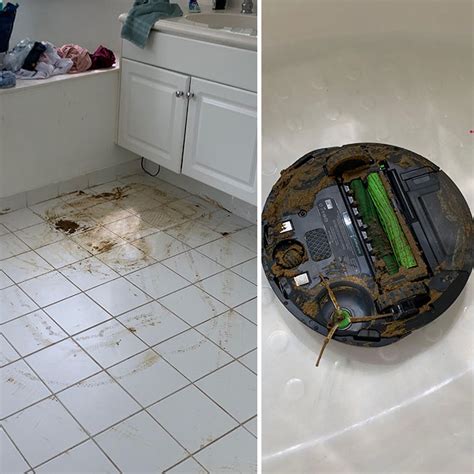 People Are Sharing Their Funniest Roomba Fails 35 Pics