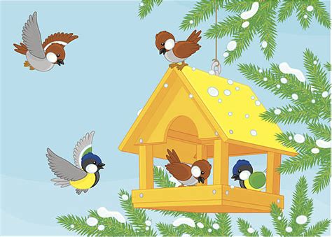 Best Bird Feeder Illustrations Royalty Free Vector Graphics And Clip Art