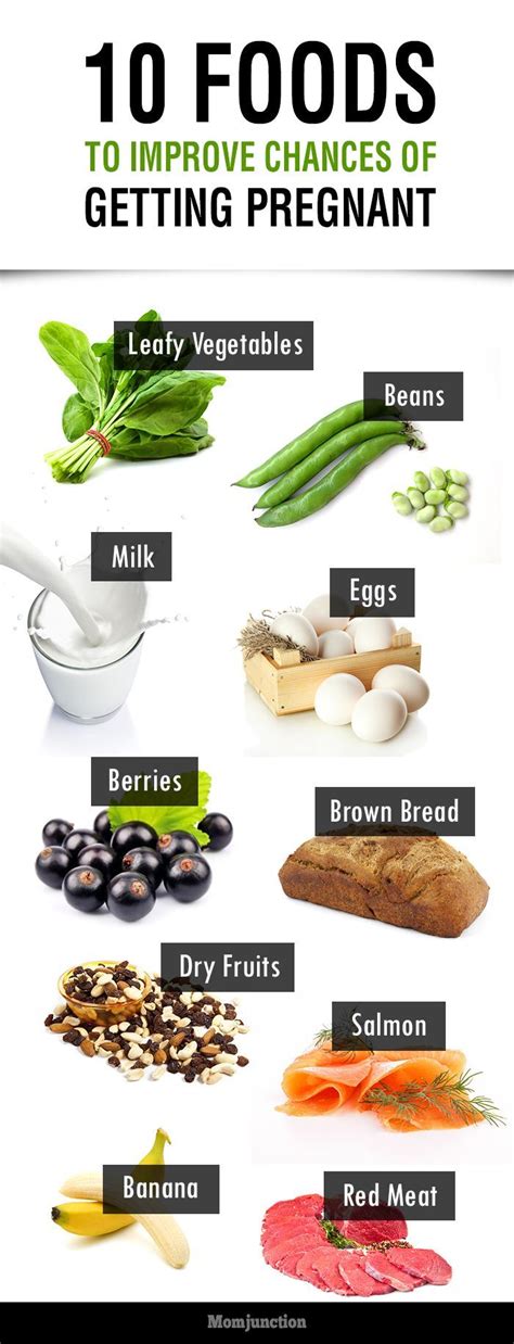 32 Best Foods To Increase Fertility With Images Foods To Get