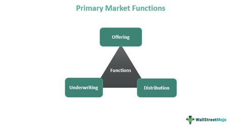 Primary Market What Is It Types Functions Examples