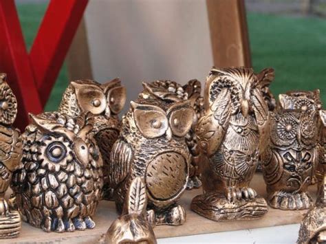 Wise Owls Networking Ciep Blog