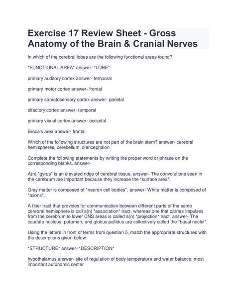 Review Sheet Gross Anatomy Of The Brain And Cranial Nerves Anatomy Images My Xxx Hot Girl