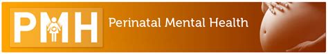 Perinatal Mental Health Elearning For Healthcare