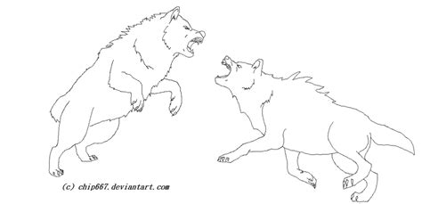 Two Wolves Fighting Coloring Pages
