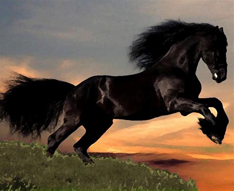 Majestic Friesian Horse Rearing Great High Quality Picture On A