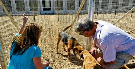 Woodrock Animal Rescue Pet Health Care