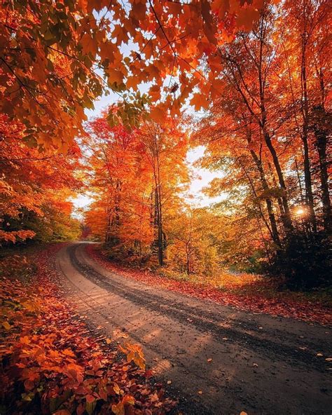 Beautiful Places Autumn Scenes Destination Voyage Blue Ridge Parkway