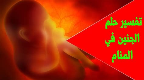 تفسير حلم اجهاض الجنين للحامل