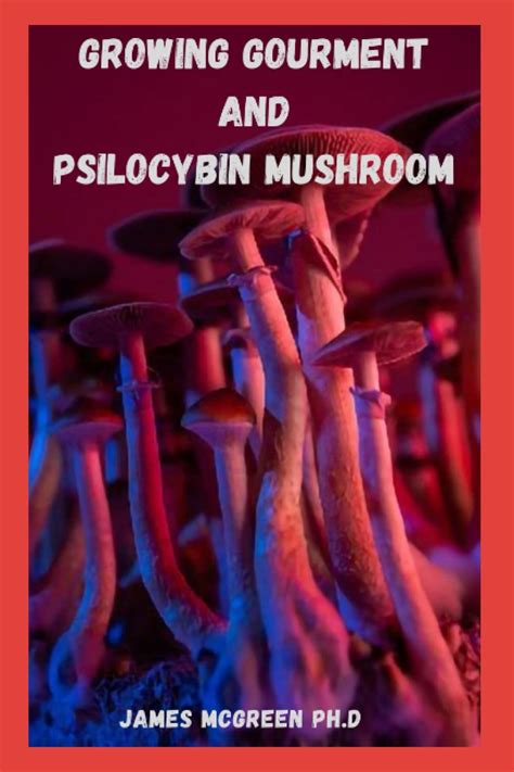Buy Growing Gourmet And Psilocybin Mushroom For Beginners Essential
