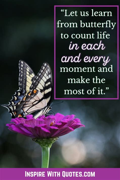 35 Short Butterfly Quotes That Youll Absolutely Love Inspire With