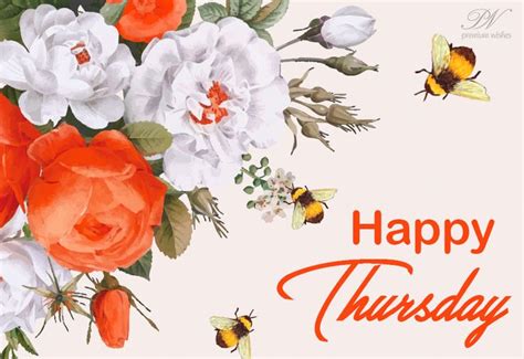 Happy Thursday Enjoy The Colours And Flowers Thursday Wishes
