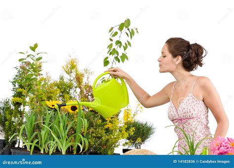 Gardening Woman Pouring Water To Plants Stock Photo Image Of