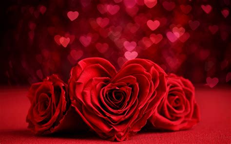 Download Wallpapers Valentines Day Roses Hearts 4k Bokeh Flowers