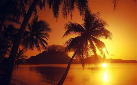 Philippines Sunset Wallpapers 4k Hd Philippines Sunset Backgrounds