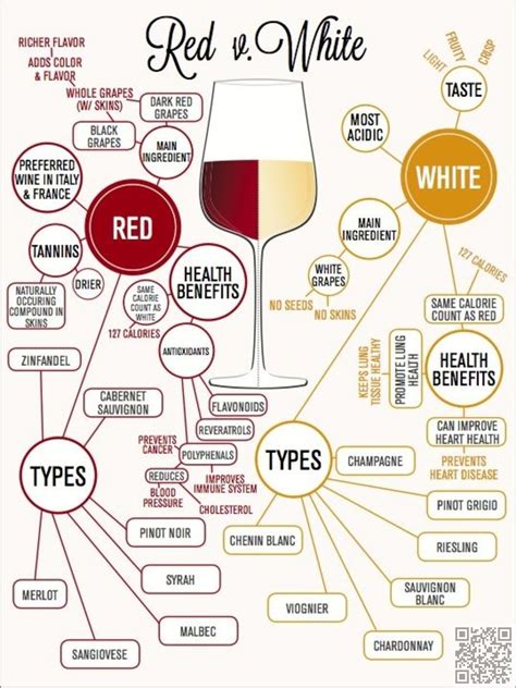 Red Vs White Wine 39 Infographics For Wine Lovers