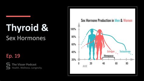 Thyroid And Sex Hormones Youtube