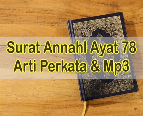 Allah dalam ayat ini mengisyaratkan ciri khas manusia yang paling penting dan paling bernilai, yakni kemampuan berpikir dan mencerna sesuatu. Surat Annahl Ayat 78 | Arti Perkata dan MP3 Surat Annahl ...