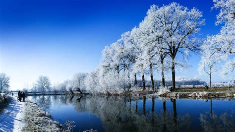 自然风景冰天雪地冰雪世界雪景壁纸高清风景壁纸彼岸桌面