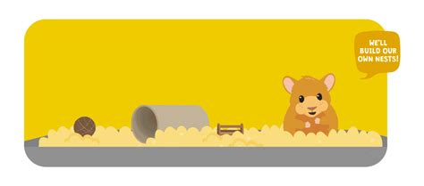 Hamster Housing Guide Size And Cleaning Advice For Hamster Cages
