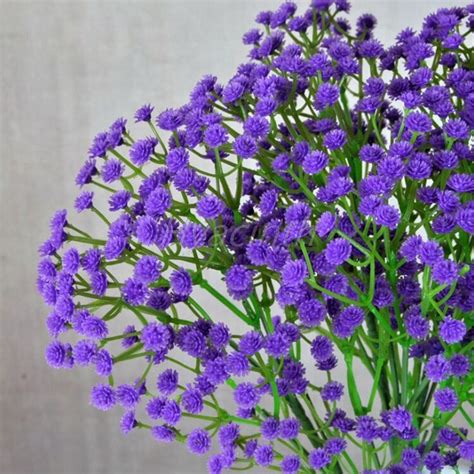 Gypsophila, its very delicate appearance banishes bald spots and it can be combined in so many various ways. Gypsophila Baby Breath Fake Artificial Flowers Plant for ...