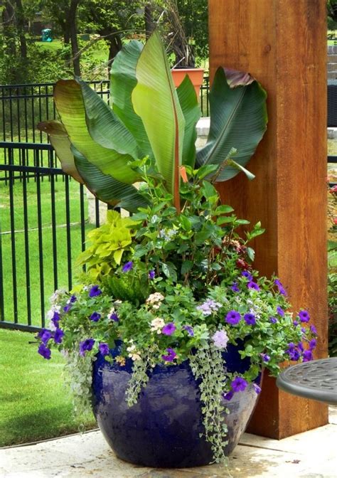 Container Garden From Unique By Design Container Plants Plants