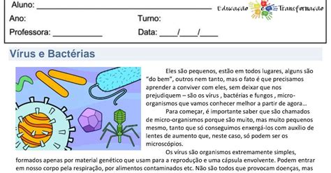 Fungos E Bactérias 4 Ano