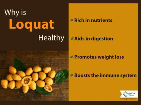 Loquat Benefits Side Effects And How To Eat Organic Facts