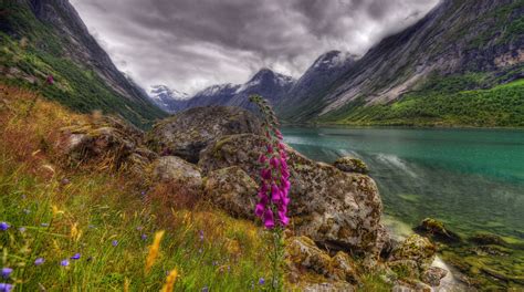 830503 Sogn Og Fjordane Norway Rivers Mountains Stones Scenery