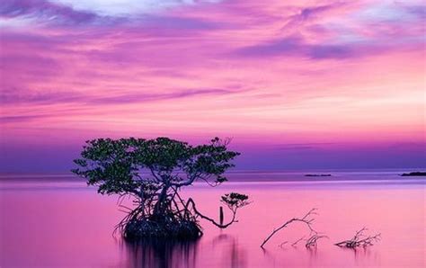 Purple Sunset Over The Water Beautiful Pinterest