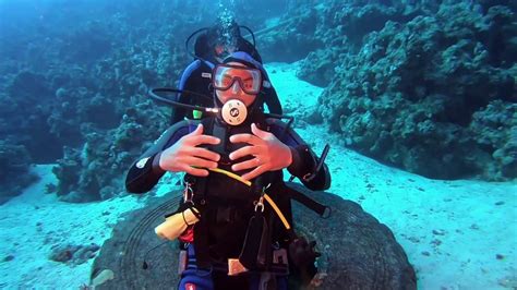 Diving In Sharm El Sheikh In December Memugaa